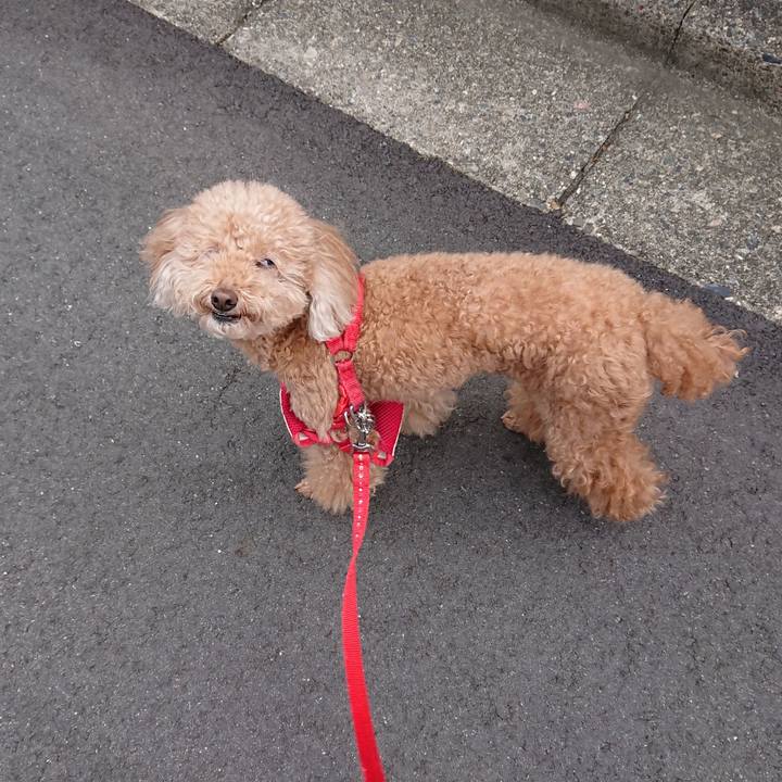 96ea0448 cd37 43ef 8074 43eaf18c819e 1539912810843