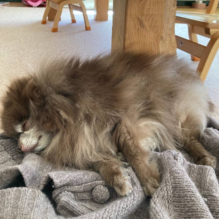 96ea5b03 9c0a 406f ae04 481ddb16aeb2 1711505425717