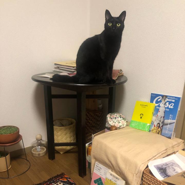 96ea66a8 9cd1 4194 a656 d1a9adb2e288 1662298654825