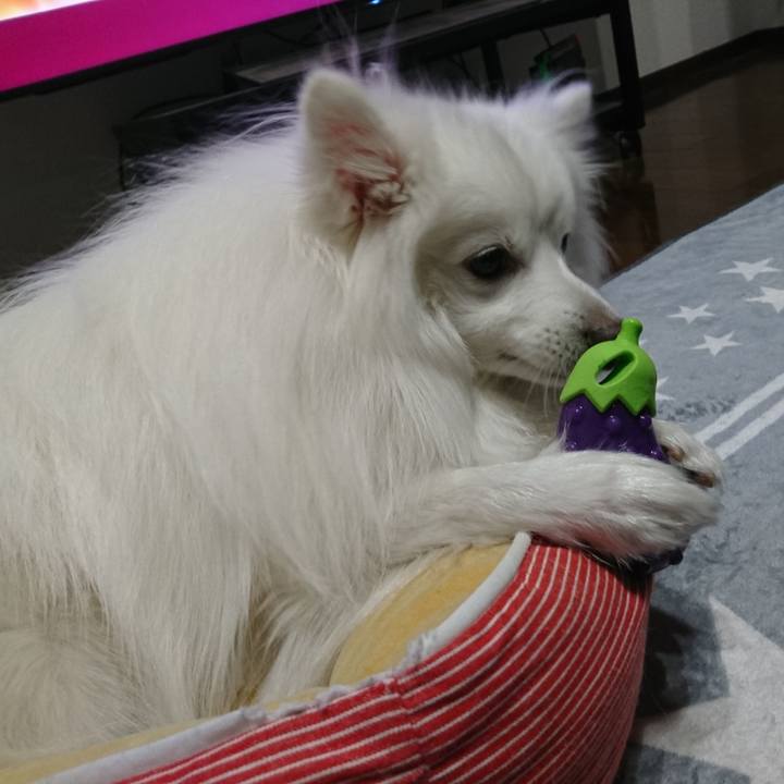 96ea8a1f 3a67 45ea a8ce ef3ab0d5258f 1609140866401