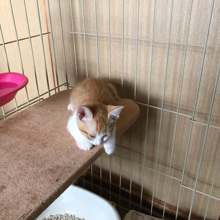 96ea8ef3 a182 45ad 8dc6 ec3380a2a5ae 1571713569050