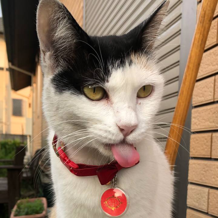 96eab0e1 b8e7 4865 8684 f3e8b27e0238 1632481878961