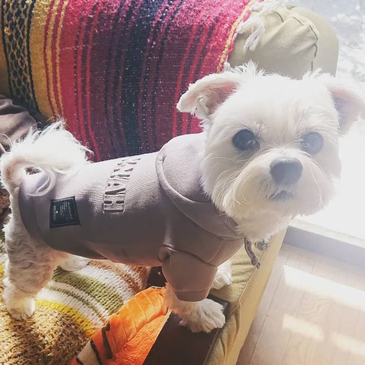 96eab8ef 4ed0 49fb 9485 732b9bf59e66 1667915893310