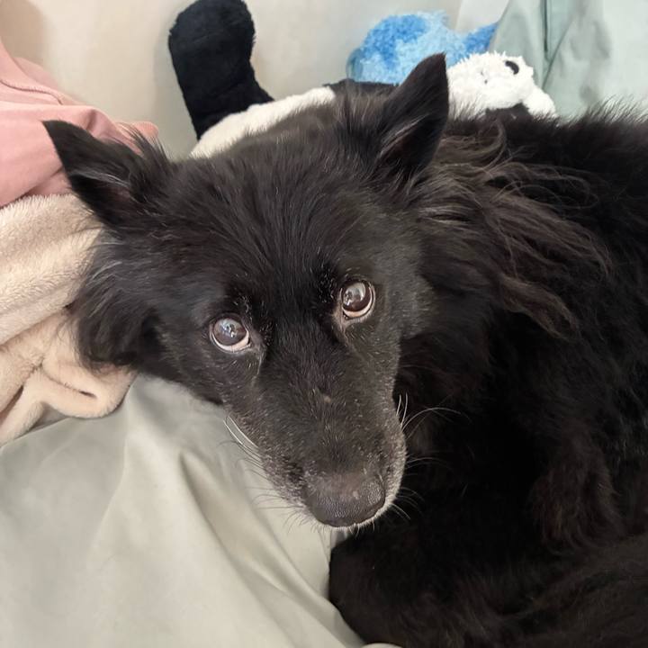 96ead971 45e1 458e 8aef 1ebb09d3f4c0 1766707795115