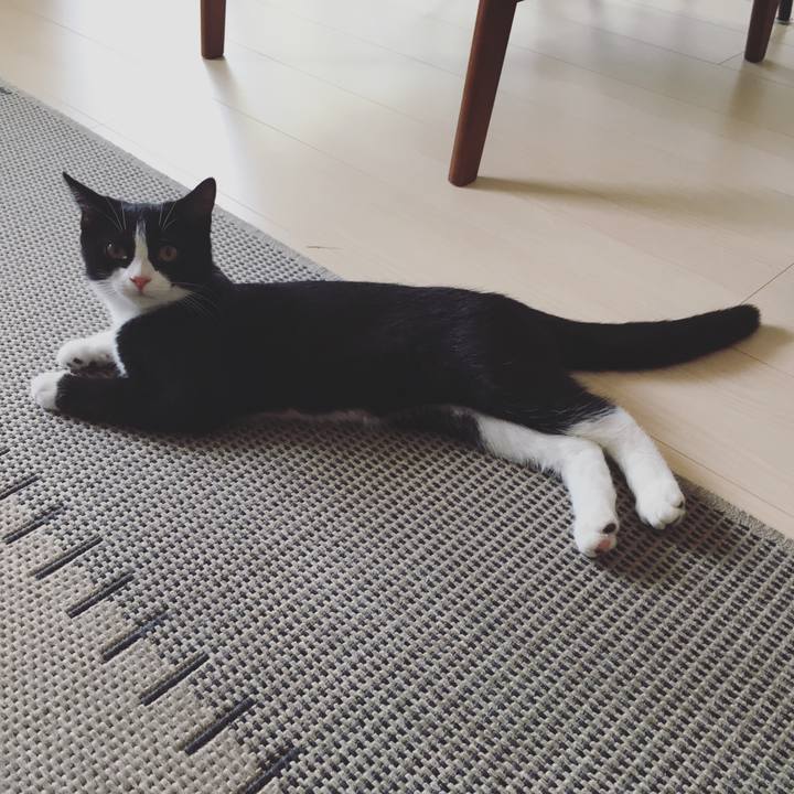 96eb2791 1d03 4a31 8f6f def75a370d40 1530147272600