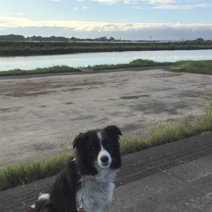 96eb6254 c148 4815 8901 266006f24150 1569281342811