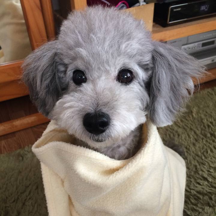 96eb9cd5 709b 4315 96db 1d31893662e2 1731966335896