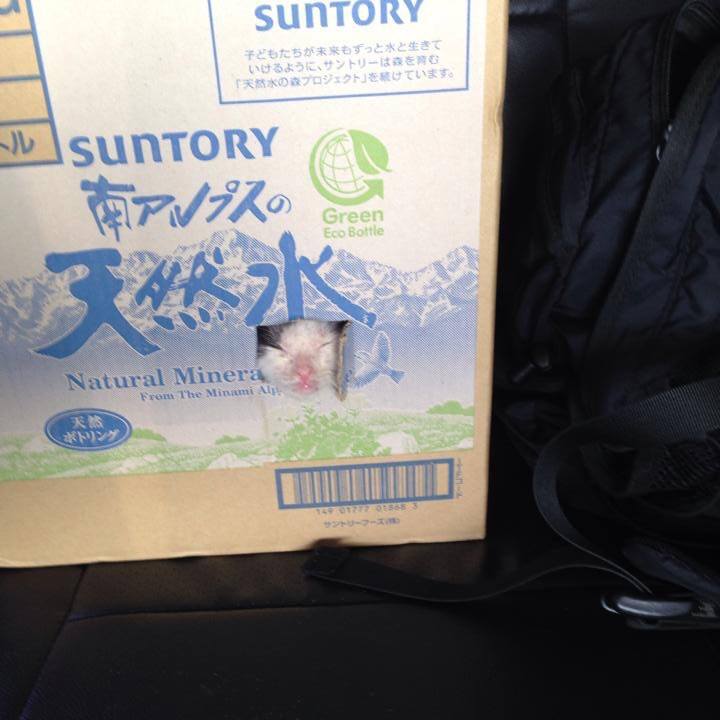 96eba18e b26b 4d16 a742 c2182038a151 1532360392456