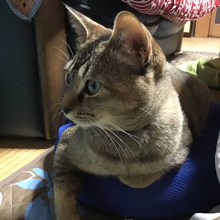 96ebc37b 1252 478d 92ce 4d04ce5ee8c4 1584966402143