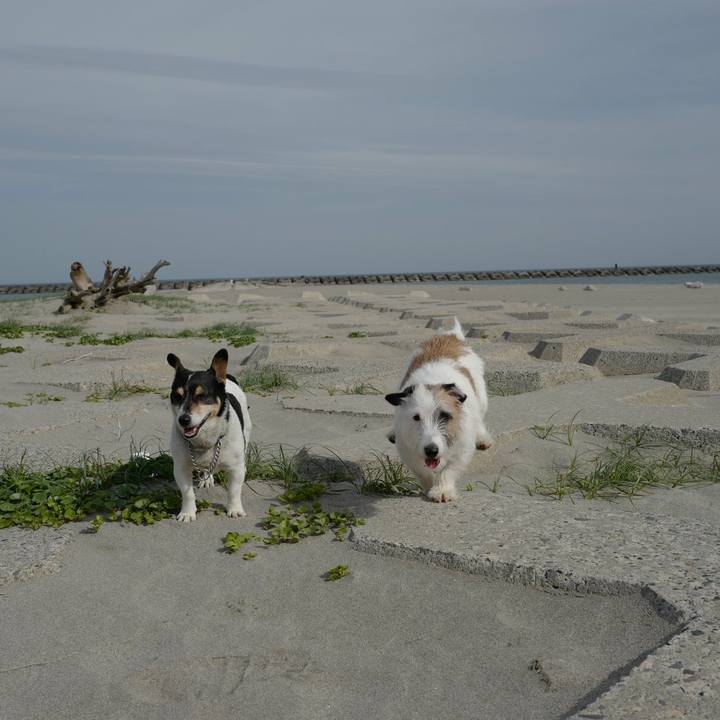 96ebc412 c205 46bb 8cc9 fb07c988fa37 1525579757350