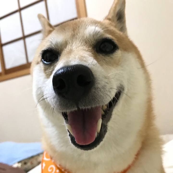 96ebf246 7f11 47e0 88a8 94dd5c4bbda9 1510489801272