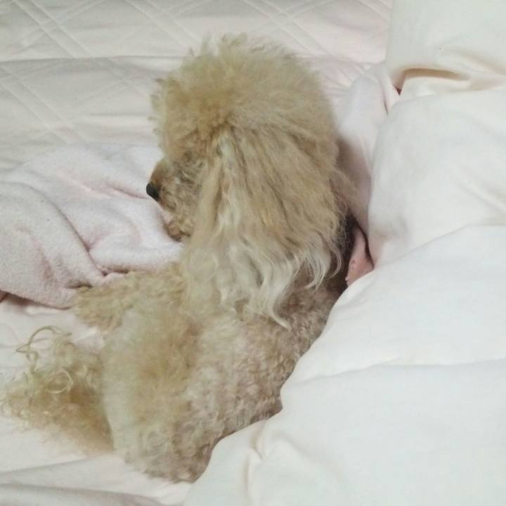 96ec4574 5a6d 4882 9bd9 317718d8561e 1532610981008