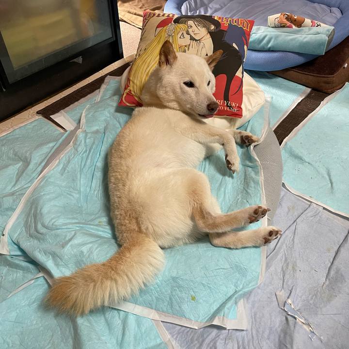 96ec5afc aa1a 4e7d 8352 449cc889b5cf 1651330058367