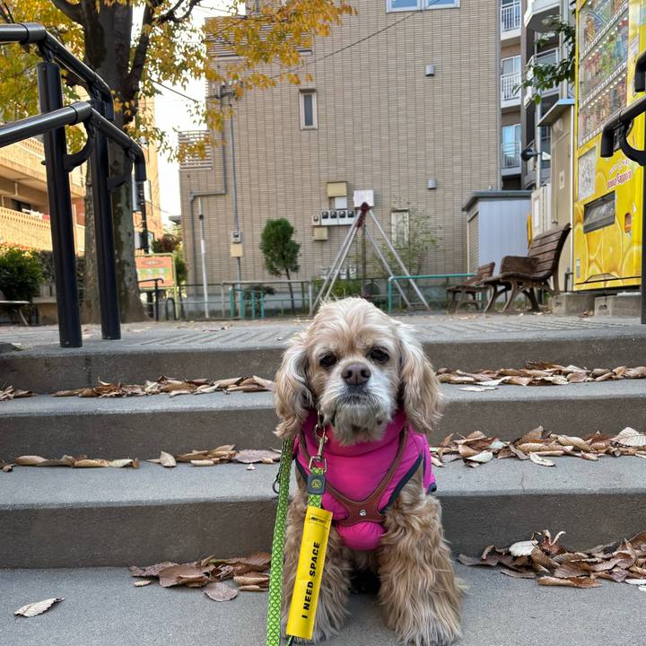 96ec75c8 35fd 479f aec2 391601122d9d 1765379019853