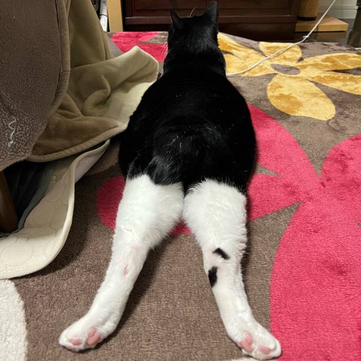 96ecb4b8 fa5d 4a86 9af7 dae559d4c6ec 1776255712655