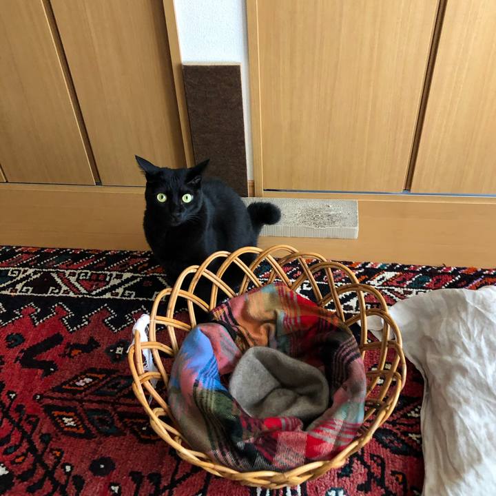 96ecdc54 0ff2 4b0c b195 bdfdd28e1c24 1572914628711