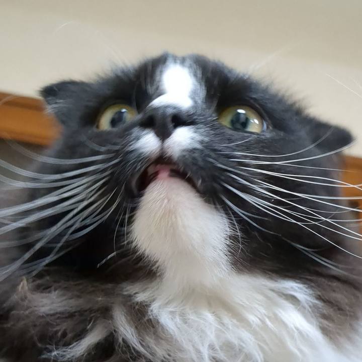 96ed03eb 8a8a 46fb aa72 c2c91882fa02 1672316651077