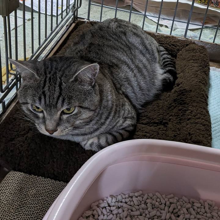 96ed11f5 b45d 4d03 9886 99a0829c31e8 1699620138693