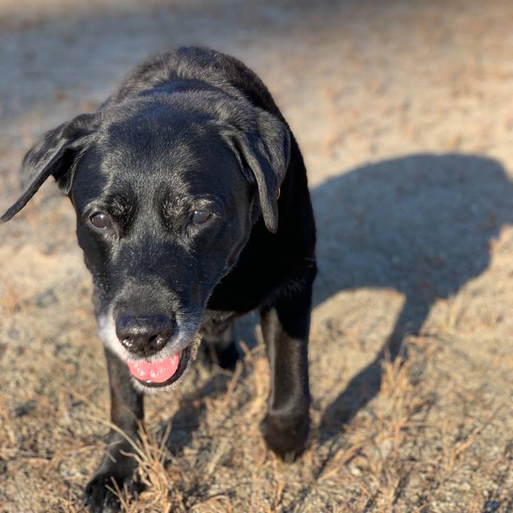 96ed32cf 057a 41b8 a0da 203f3d1daf56 1574546401097