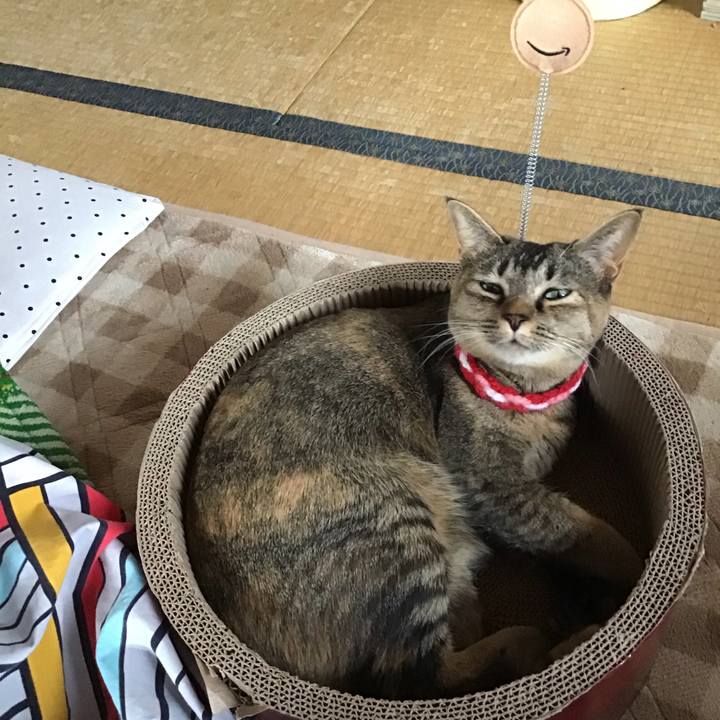 96ed3468 20e8 4de2 84b6 a46aedc4ad32 1607923552145