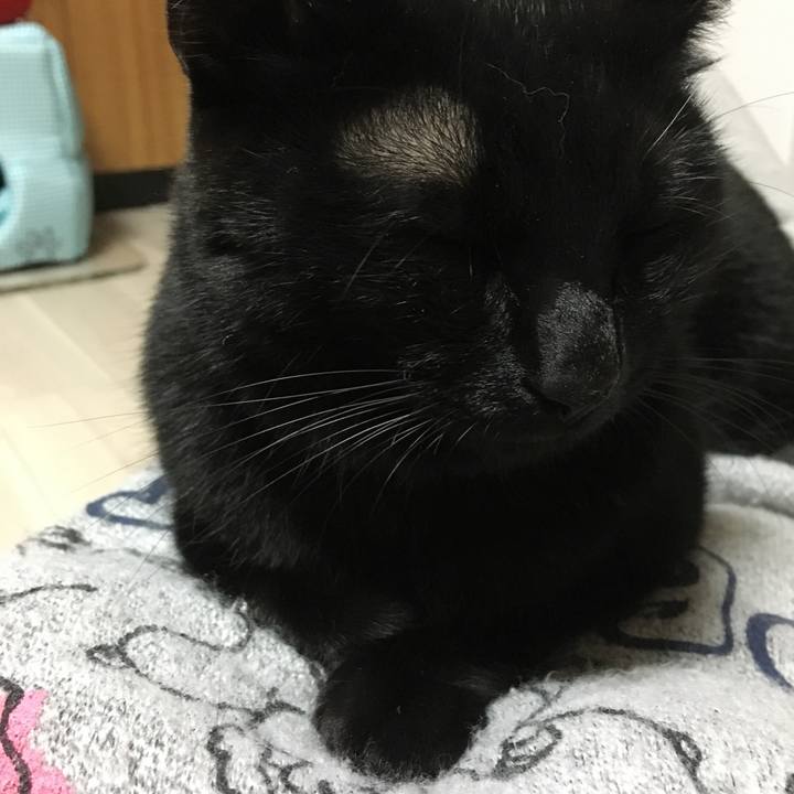 96ed4641 6dd6 41e5 812b eddcac5cb485 1511012192011