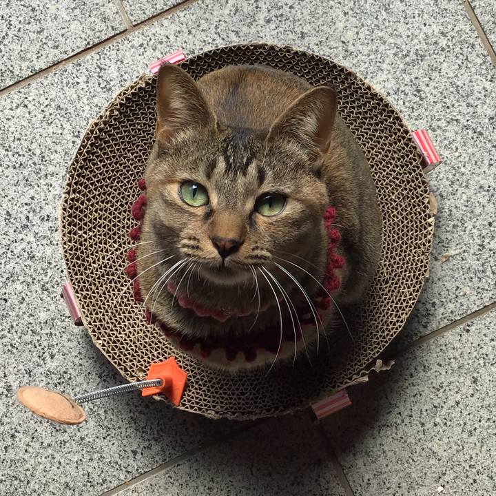 96ed5f79 2a7c 47d6 85ed 2c87c4cbdb70 1614484782226