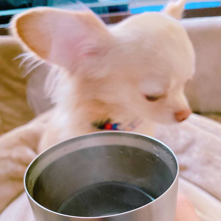 96eda511 a4ad 41ac 9601 f7ec6b565a42 1643252173237