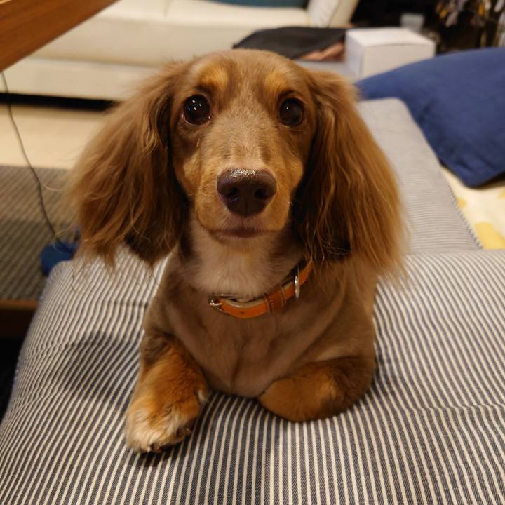 96edaeb2 bcf3 4266 ac02 7de96c9ceddb 1658933980687