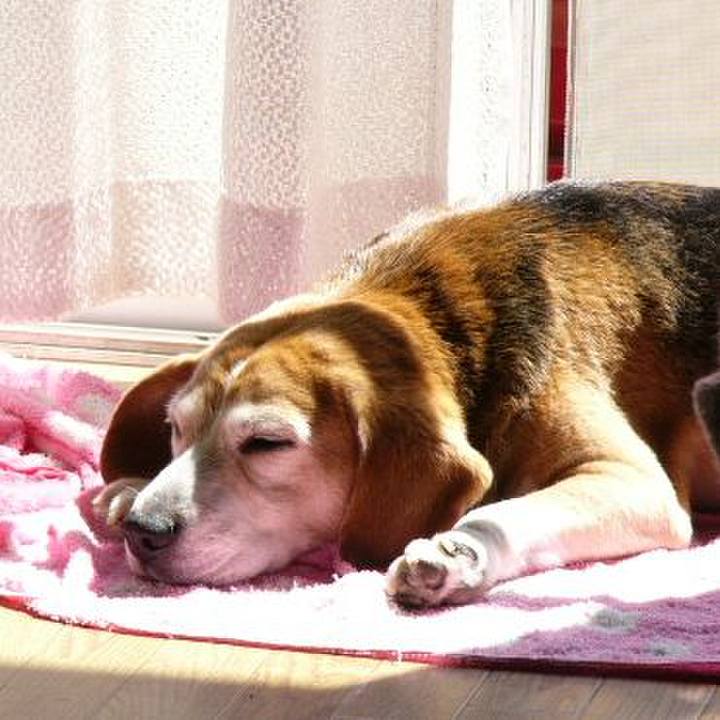 96edd72f cb6a 44d2 b3be 885302713735 1641433515964