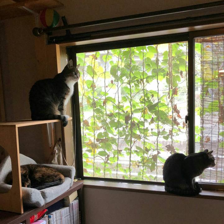 96ee11b7 2269 418f 9f35 fbbd6287fab4 1602907328515