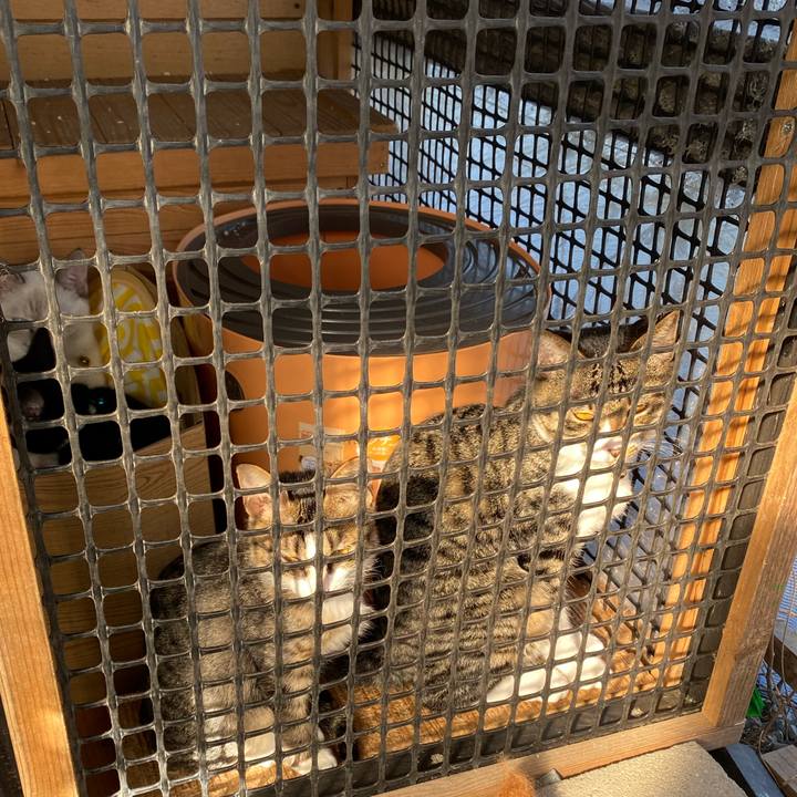 96ee1878 d684 47fc 9ad1 707fa7e4579f 1635468996192