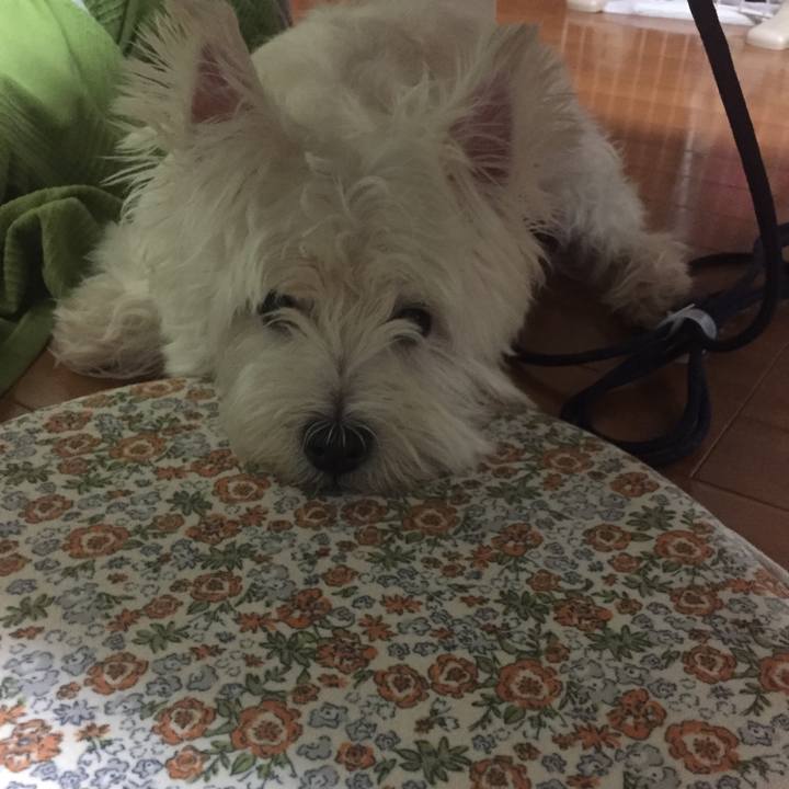 96ee2391 ee7b 4be0 a715 4446adce5f33 1535031476772