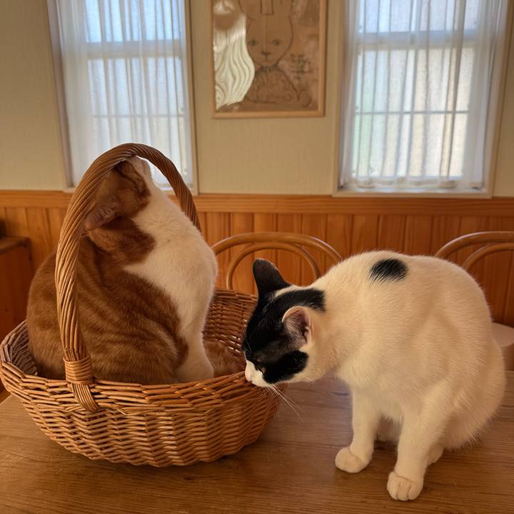 96ee298b 139d 4136 94c0 35d0410db140 1770815714537