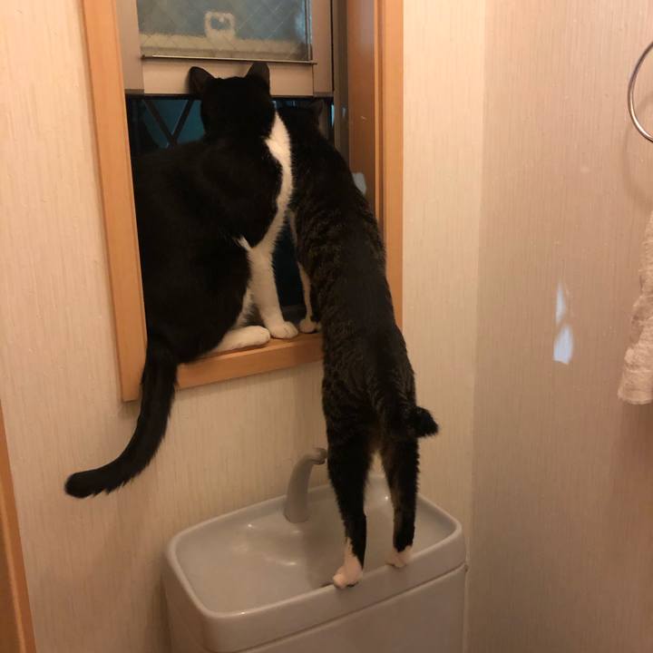 96ee376b 6414 4681 8a9a 459eff6a496f 1598474084766