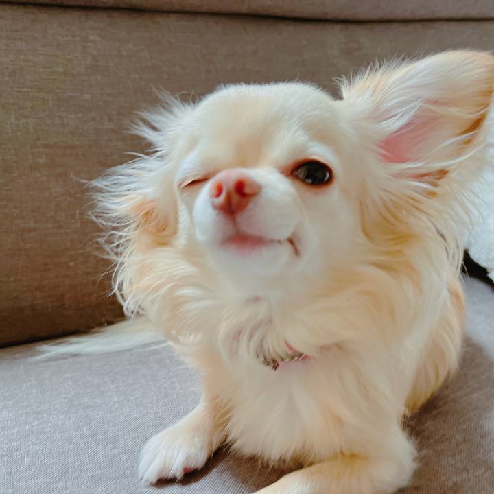 96ee65c6 b91a 414c aa17 648adc64af5c 1653388312970