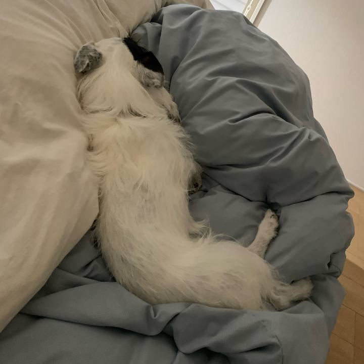 96ee848f b98b 4133 b03d fceeade6ca48 1656425705065