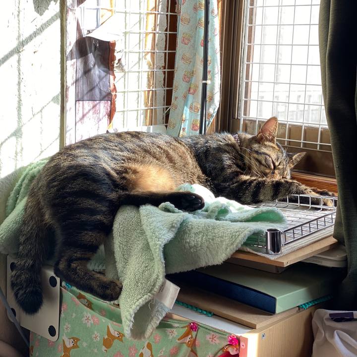 96ee9c07 83a7 40de 80d6 0e7844a4192f 1574212750131