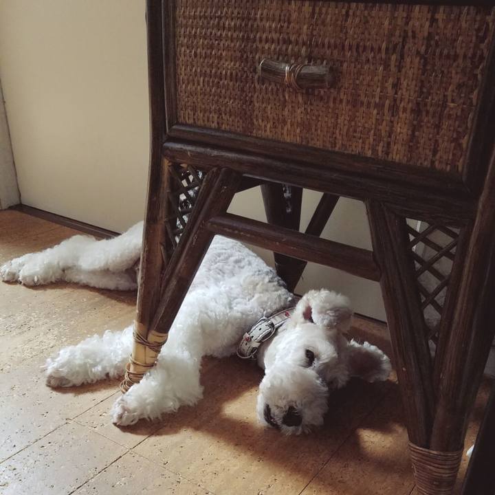 96eeb276 0ce7 4d10 8dde 3da9bcc6b6c1 1592433441487