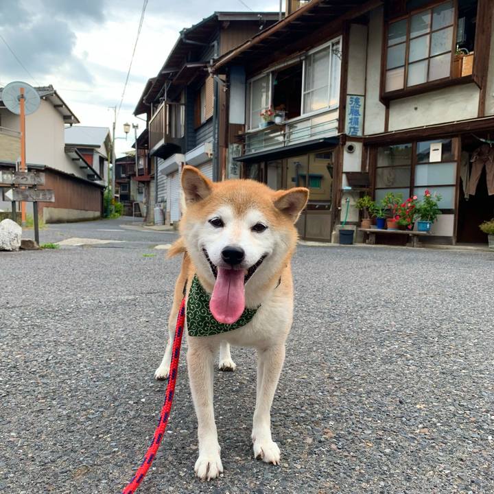 96eeb83c 1db5 4925 a0b4 6473c8bc6ce6 1693817675578