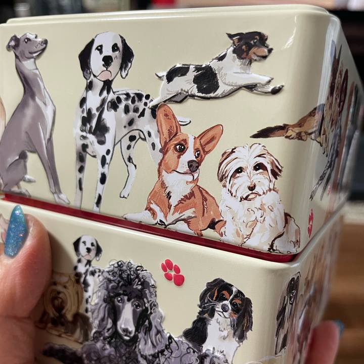 96eec929 5fe9 4beb a9bf a306d59c5c09 1741767427625