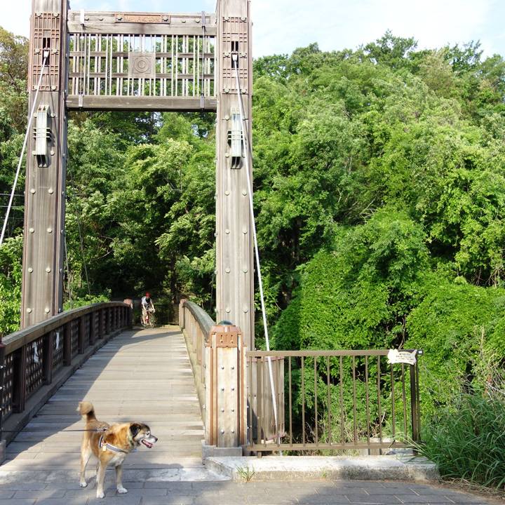 96eed925 8d1c 41de 9894 262d2fa8a959 1667954298294