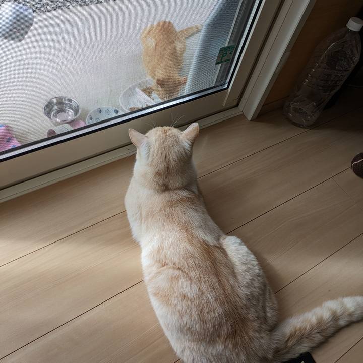 96eef256 8024 4c30 830a 11518fa76654 1691970407659