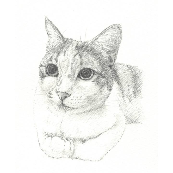 96eef2e1 8303 4299 8dea b68875a62133 1542804199548