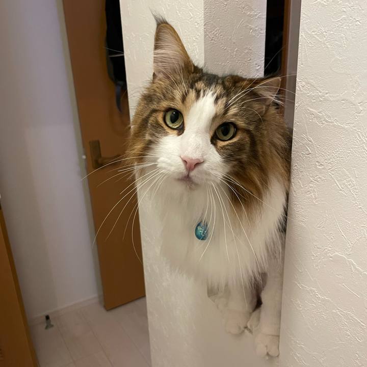 96eeff31 e80a 485b 8a94 bd2148014e86 1719430578260