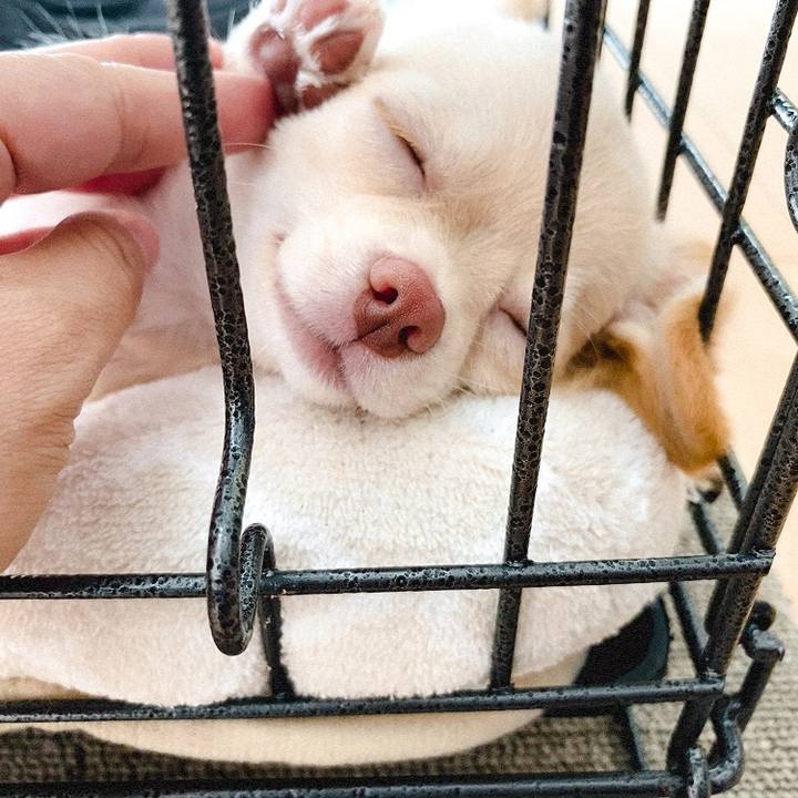 96ef0961 9048 4a84 88f1 ee55e4e72791 1593733154691