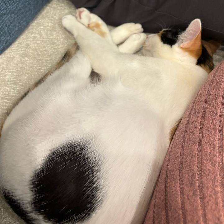 96ef3621 4301 4833 9409 a81d3cf78692 1768910296387