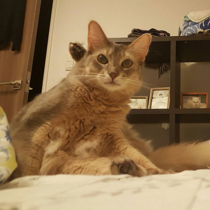 96ef5bab ac87 406c ba74 df30aeab2495 1533130520475