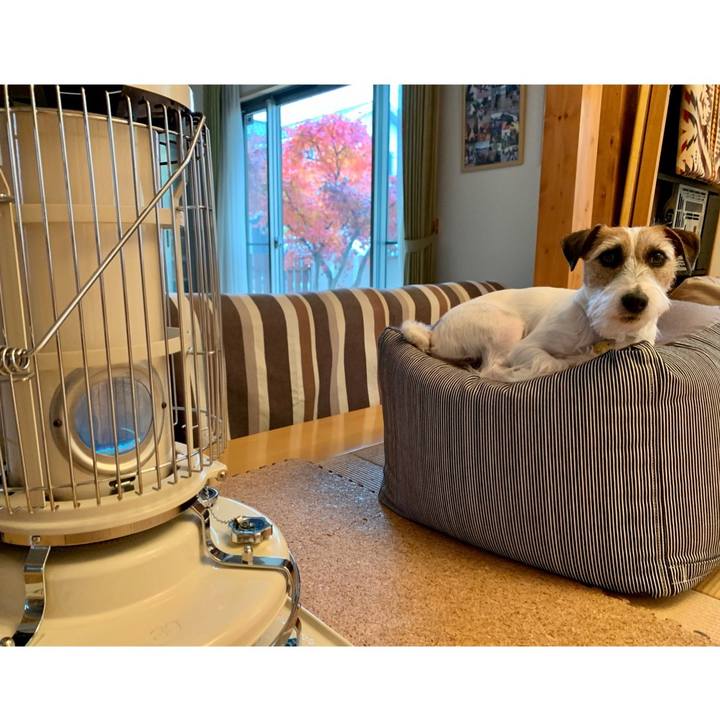 96ef5d02 305b 42bd ba77 4dee70bf3297 1607559097801