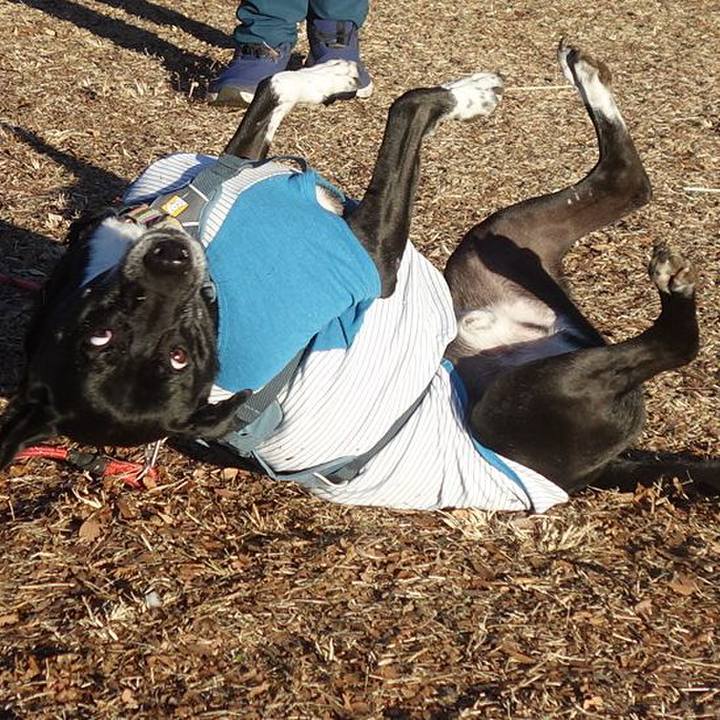 96efc1d6 34c5 4d44 897e b635e8b9b4b8 1704676524145