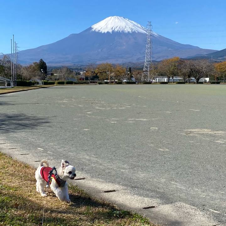 96efc20a e1b4 4d98 bc5d a263c0bfab2c 1636801597101